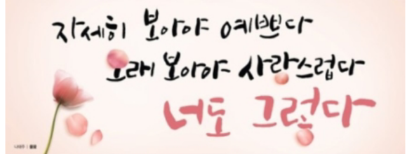 누군가의 꽃 이미지