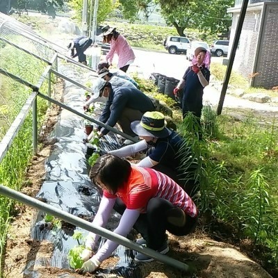 함양물레방아떡마을 이미지