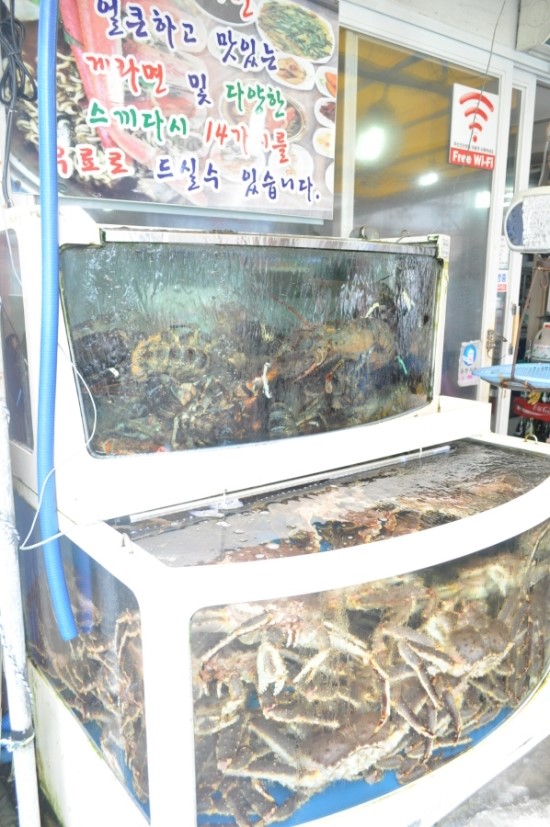 대영유통 이미지