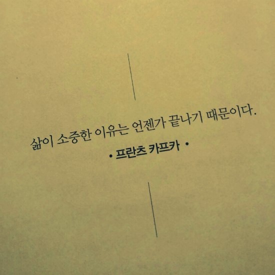 카페릴리(CAFE LILY) 이미지