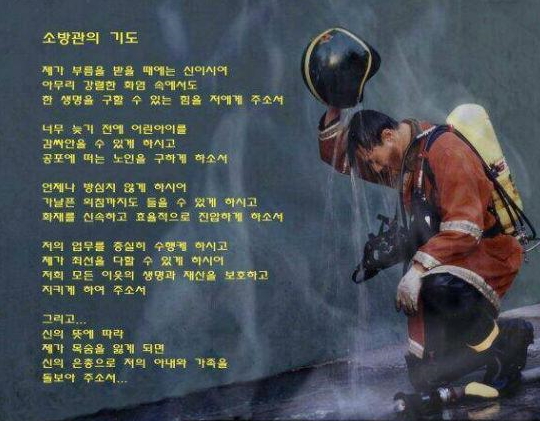 양천소방서(신트리119안전센터) 이미지