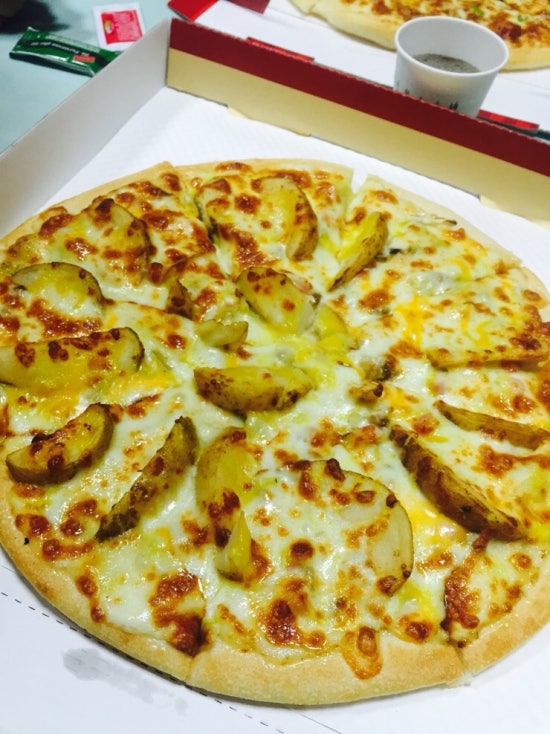 파파치노 이미지