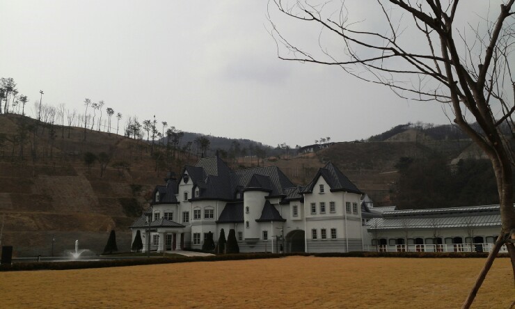 펠리체승마클럽 이미지