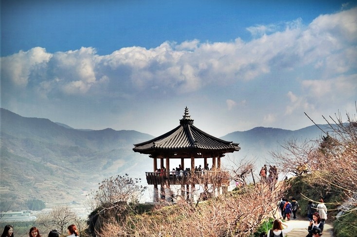 콧바람여행사 이미지