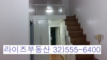 대양실사 이미지