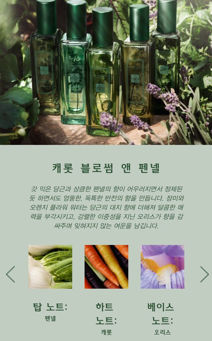 허브블러썸 이미지
