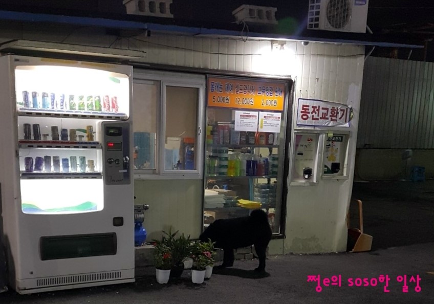 그린셀프세차장 이미지
