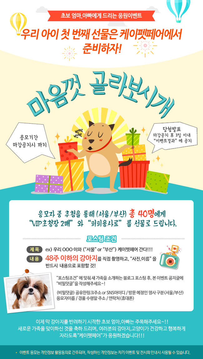 케이쿵 이미지
