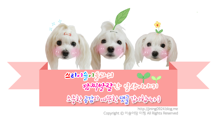 원조김태주선산곱창 이미지