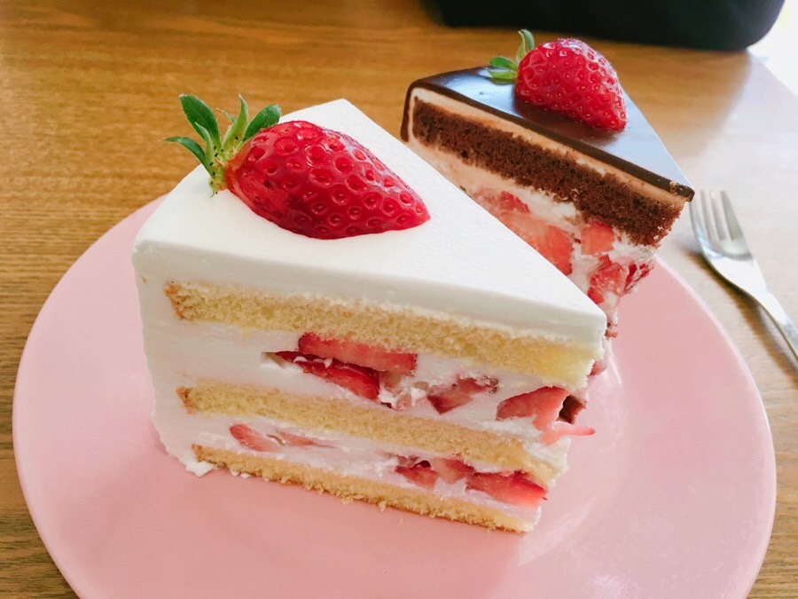 키친205 이미지