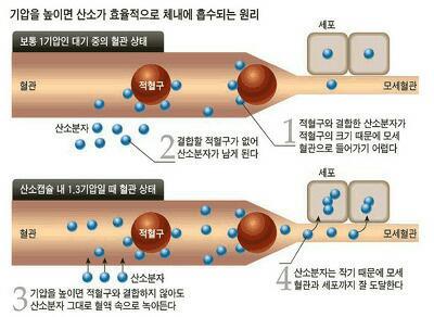 한국산소 이미지