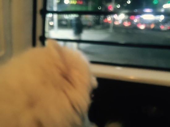 미야가끔 이미지