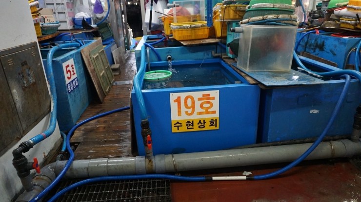 수현상회 이미지