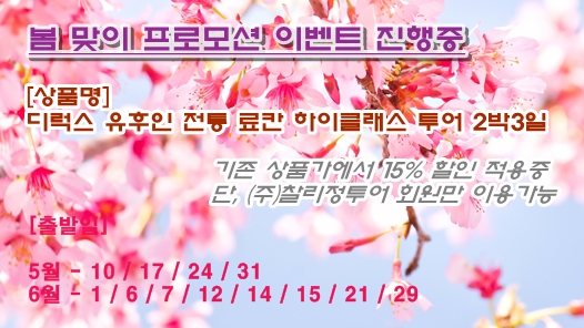 찰리정투어주 이미지