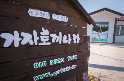 가자토끼나라 이미지