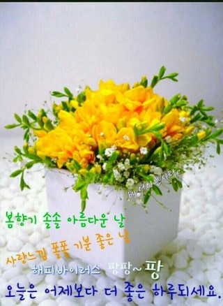 짠지네 이미지