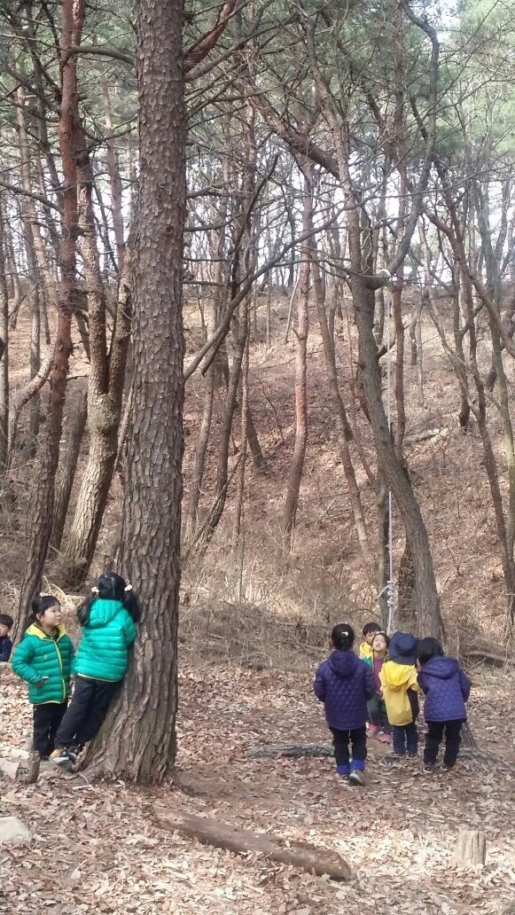 꿈밭유치원 이미지