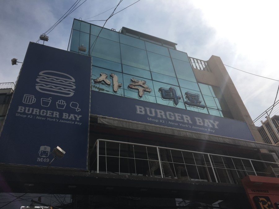 왓츠피데주 이미지
