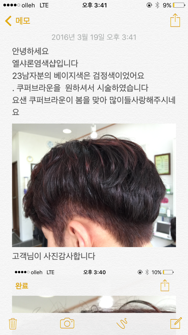 엘샤론 코리아 이미지