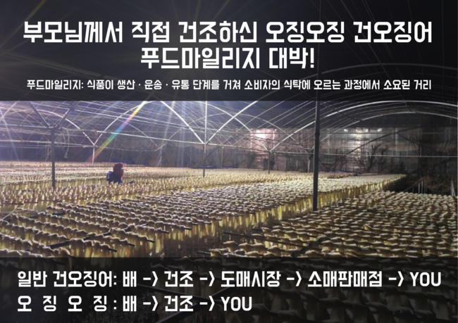 오징 이미지