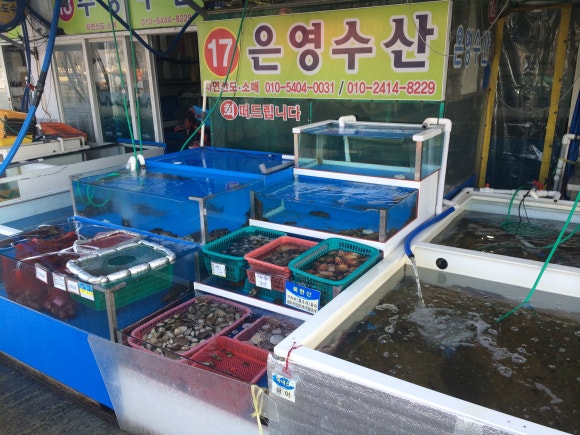 은영수산 이미지