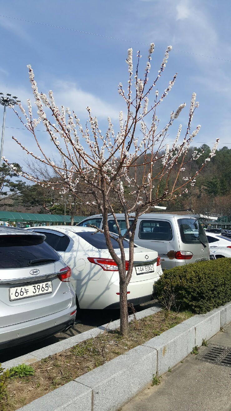 영빈기사식당 이미지