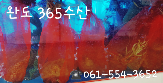 완도수산365 이미지