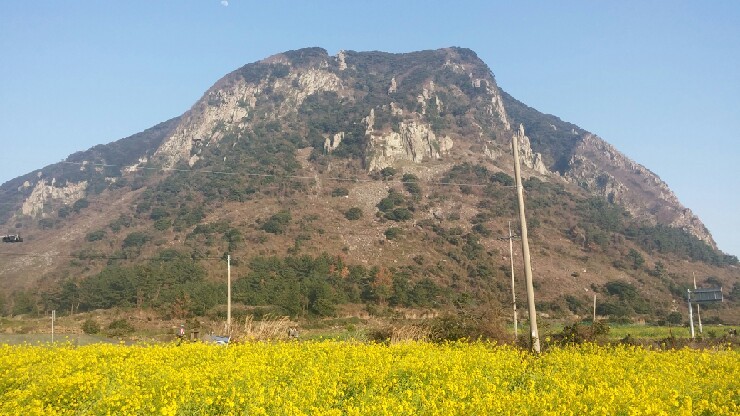 금복회수산 이미지