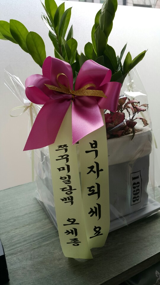 다리아네일아트 이미지