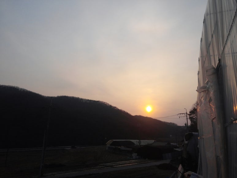 당골농장 이미지