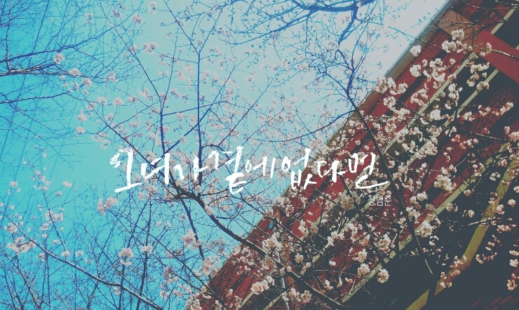 데이그래피 이미지