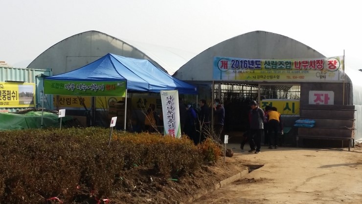 강화군 산림조합 이미지