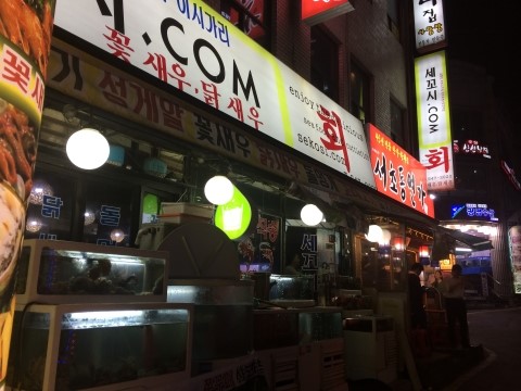 세꼬시닷컴 이미지