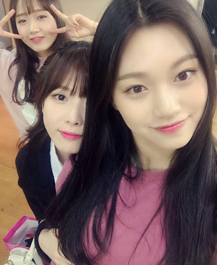 다도연 이미지