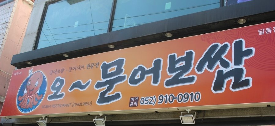 오가문어 이미지