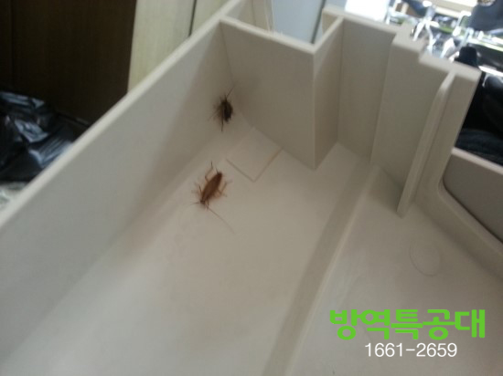 (주)코텍 이미지