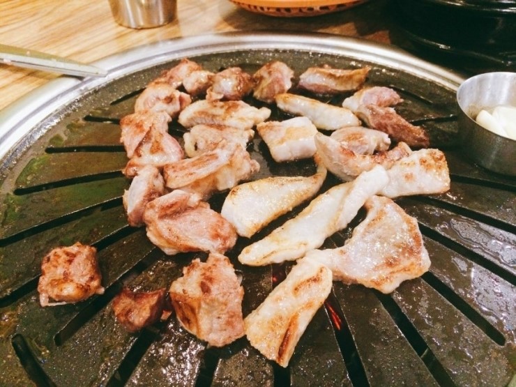 뿔난생돼지 이미지