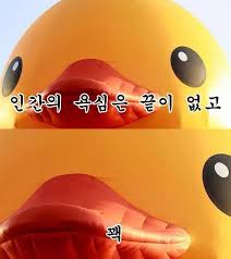 라니휘트니스 이미지