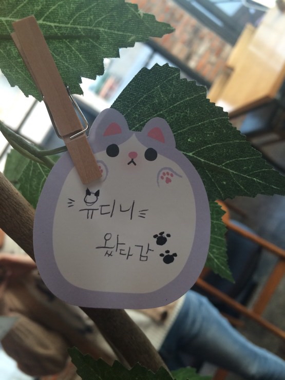 오알지카페 이미지
