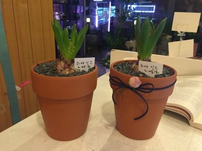 복사꽃다방 이미지
