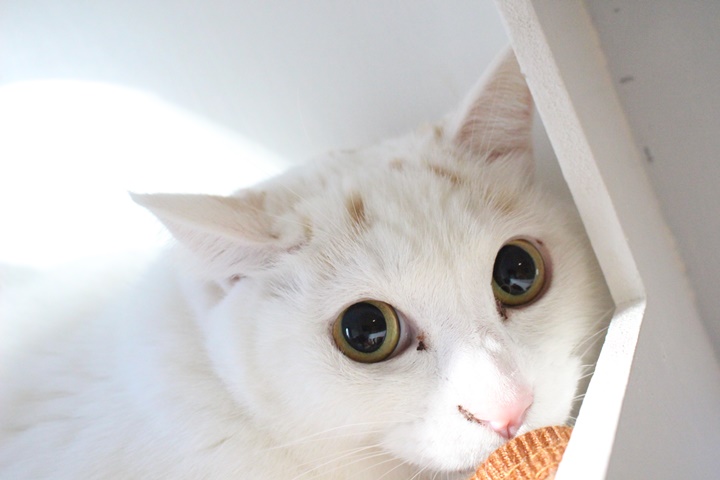 호텔보름 이미지