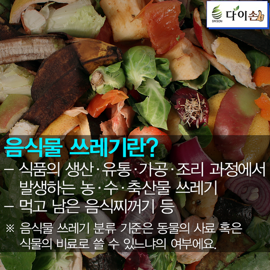 다이손 이미지