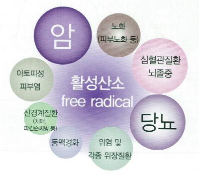 힐링 피부관리실 이미지