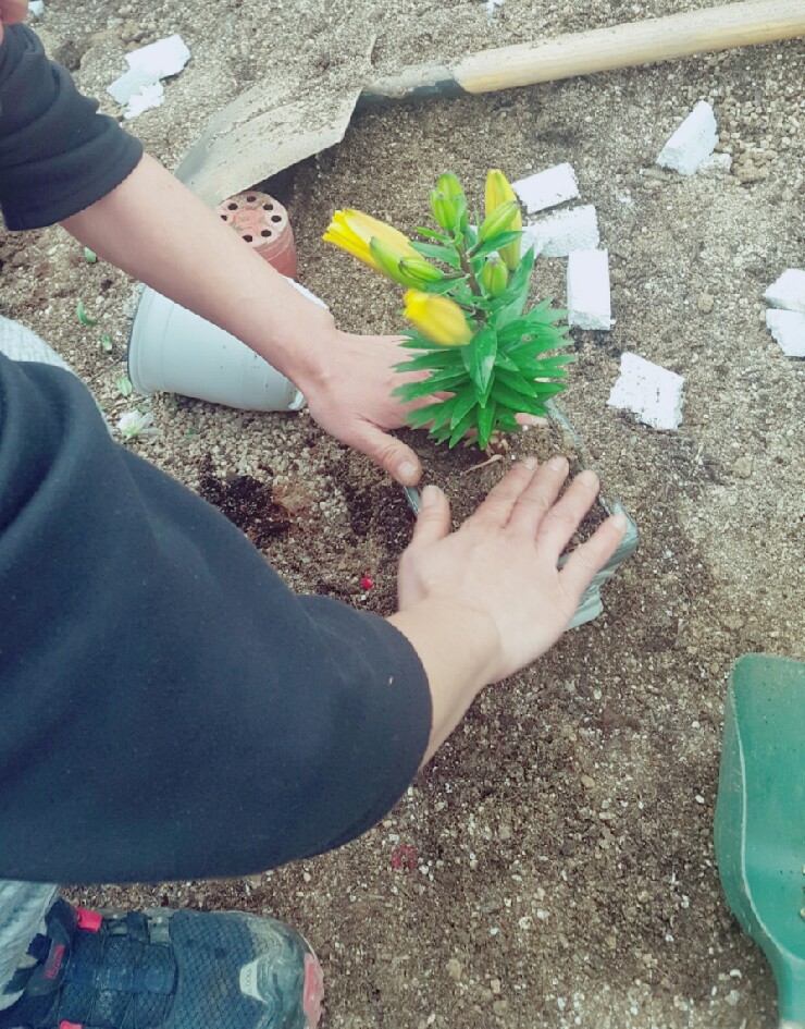 자양꽃집 이미지