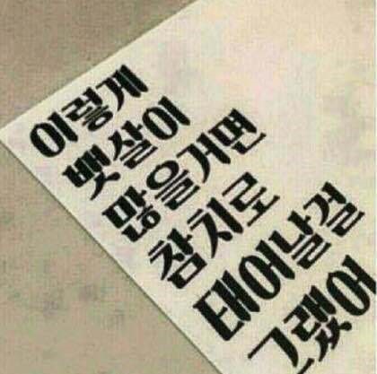 감동참치 이미지