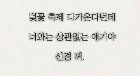 모아당구장 이미지