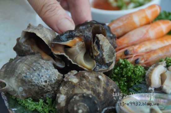 온누리회타운 이미지