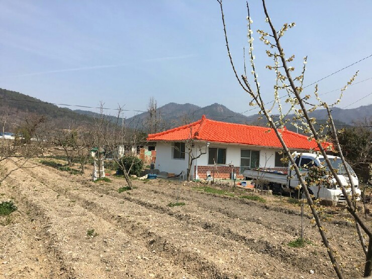 오렌지하우스 이미지