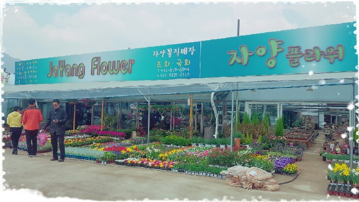 자양꽃집 이미지