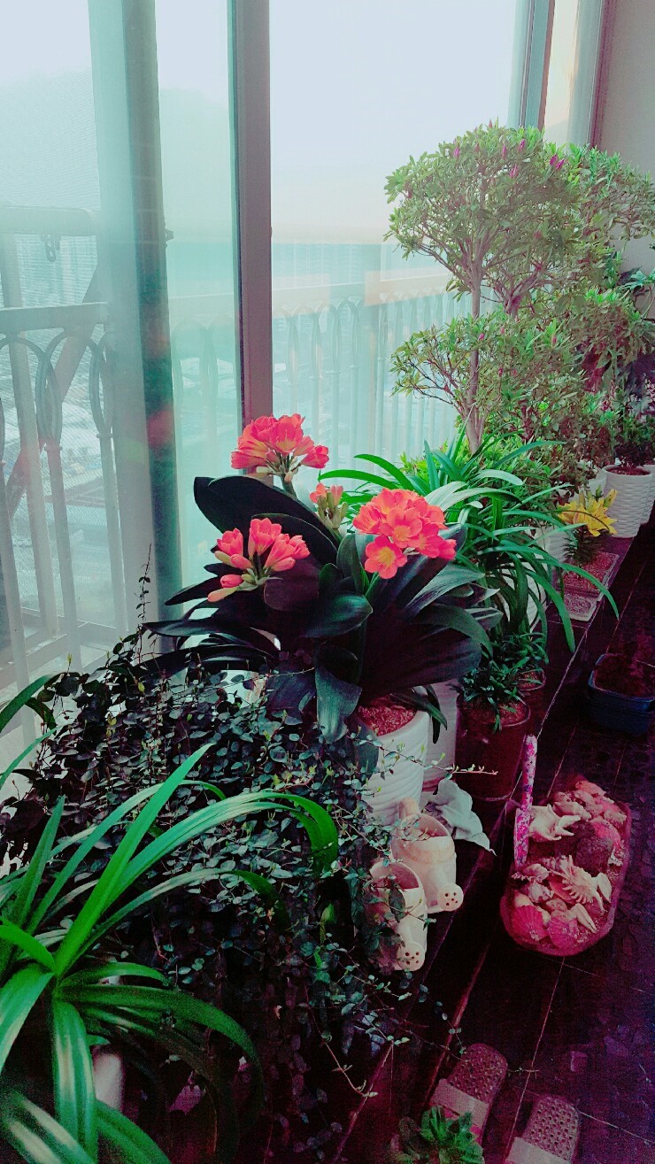 자양꽃집 이미지